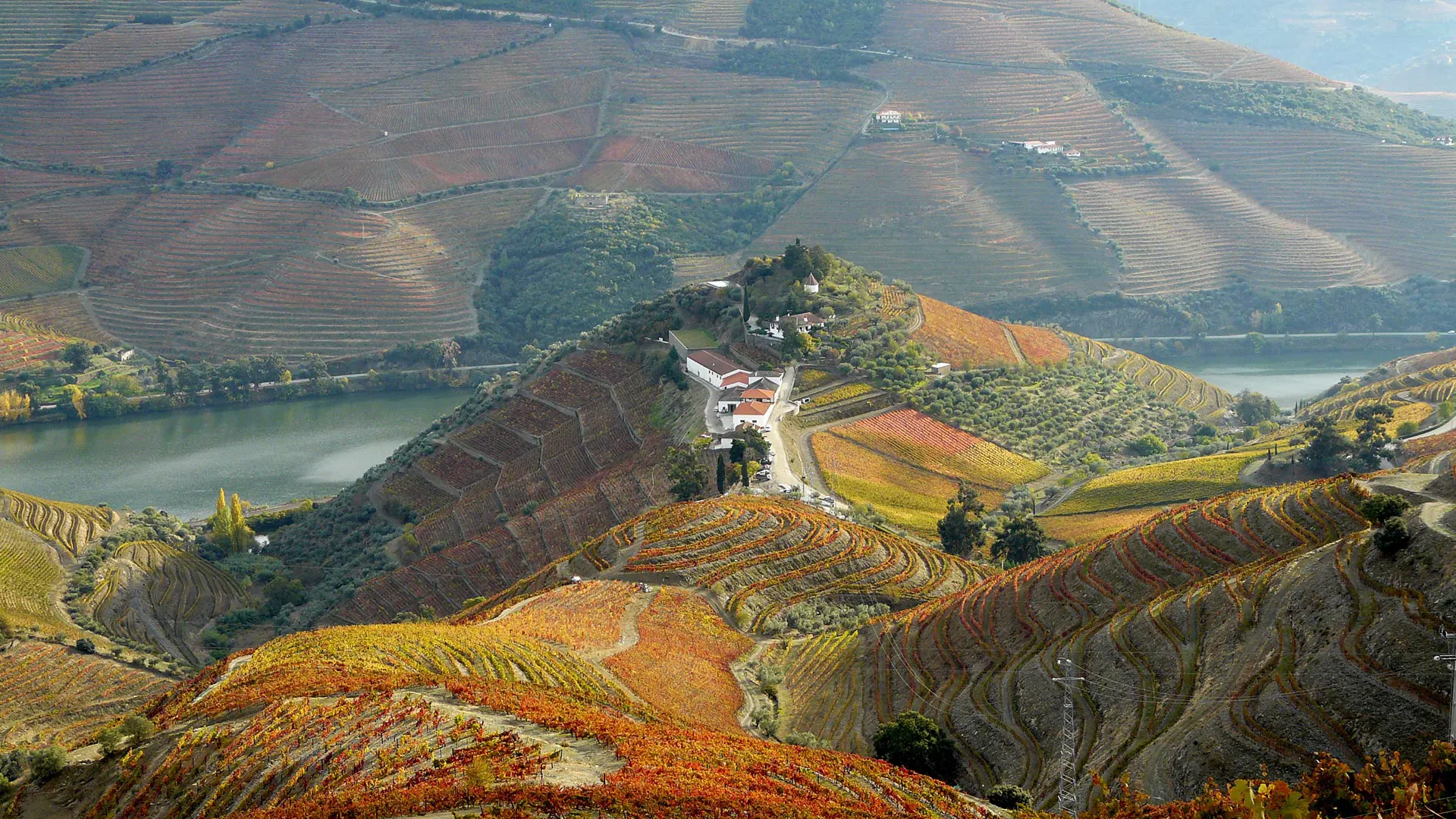 Les terrasses de Quinta do Crasto au-dessus du Douro