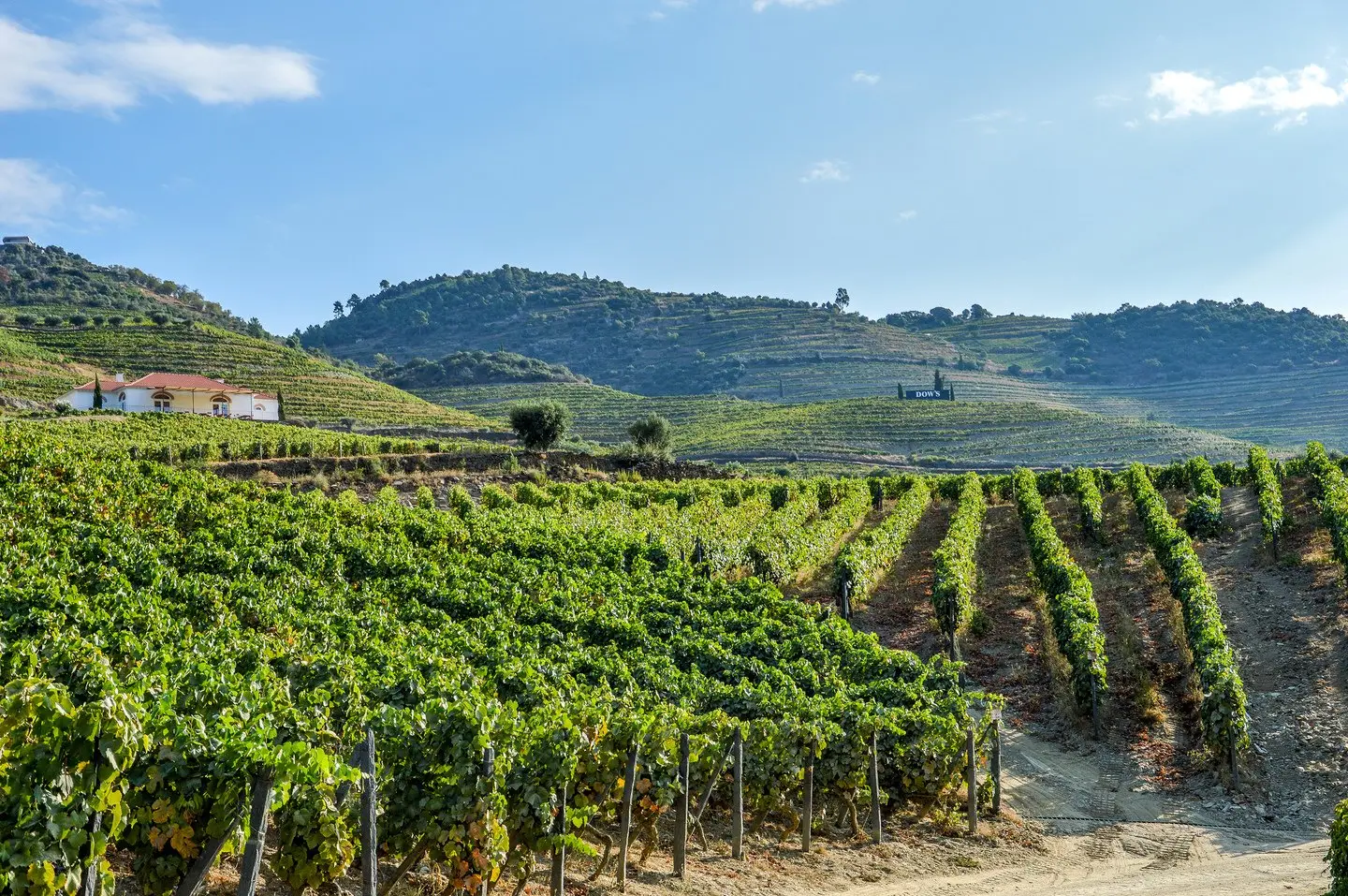 Quinta do Bomfim au bord du Douro